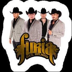 La Furia del Bravo