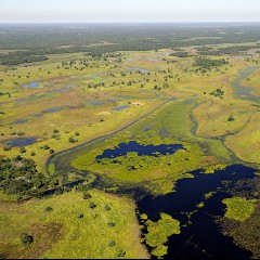 WWF PANTANAL