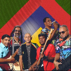CASSIYA ROOTS