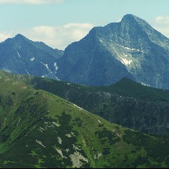 Krywań