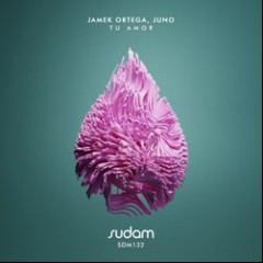 Jamek Ortega