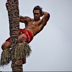 Polynesian Cultural Center
