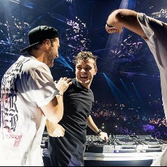 Martin Garrix Matisse