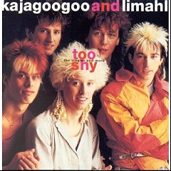 Kajagoogoo & Limahl