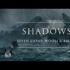 Seven Lions + Wooli + Amidy