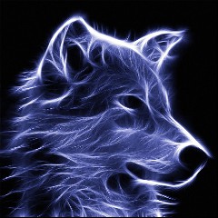 Wind Wolf