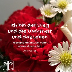 Gottes Wort und Leben