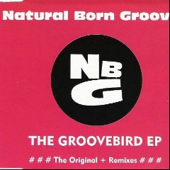 The Groovebirds