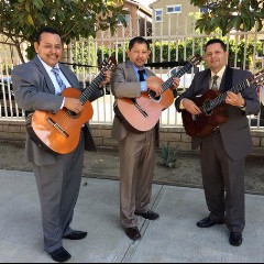 Trio Rayos De Luz