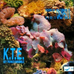 Key Tronics Ensemble