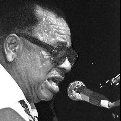 Big Joe Williams