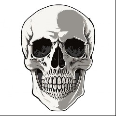 Dead Head