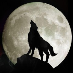 Wolf Tech