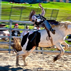 De Rodeo’s