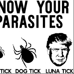 Luna Ticks