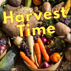 Harvest Time