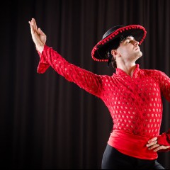 The Flamenco Man