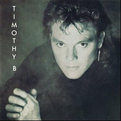 The Beach Boys feat. Timothy B. Schmit