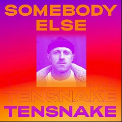 Tensnake & Boy Matthews