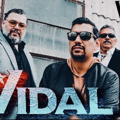 Grupo Vidal