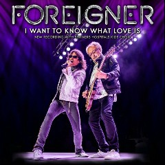 FTS 80er I Want to know what love is
