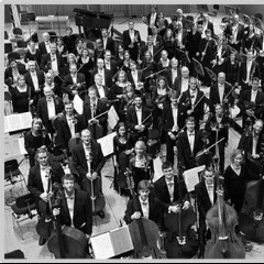 Malmo Symphony Orchestra