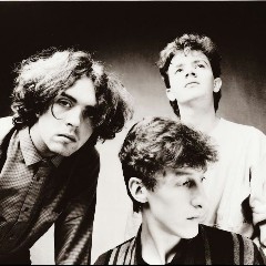 The Icicle Works