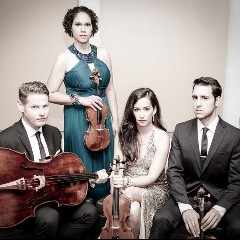 Catalyst Quartet