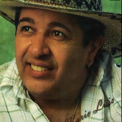 Mario Luis