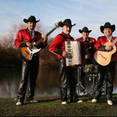 Los Reales del Valle