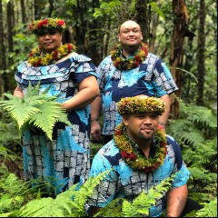 Nā Palapalai