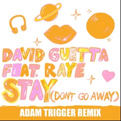 David Guetta,RAYE,Adam Trigger