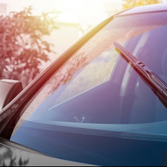 Windshield