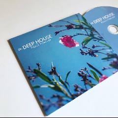 Dr. Deep House feat. Joel Pinto