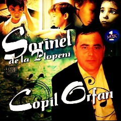 Sorinel de la Plopeni