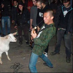 Wormrot
