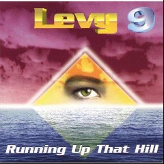 Levy 9