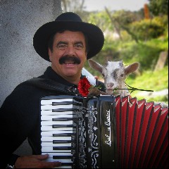 Quim Barreiros