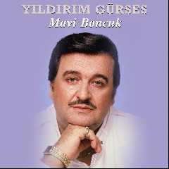 Yıldırım Gürses