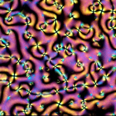 Liquid Crystal