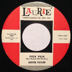 Austin Taylor