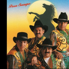 Grupo Bronco
