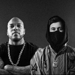 ALAN WALKER, FLO-RIDA