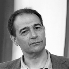 Vlada Divljan
