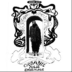 Organic Pulse Ensemble