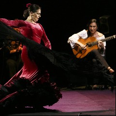 Flamenco experts