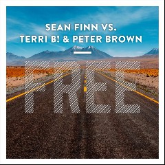 Sean Finn vs. Terri B! & Peter Brown