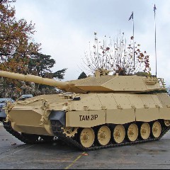 tam