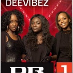 DeeVibez