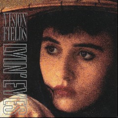 Vision Fields